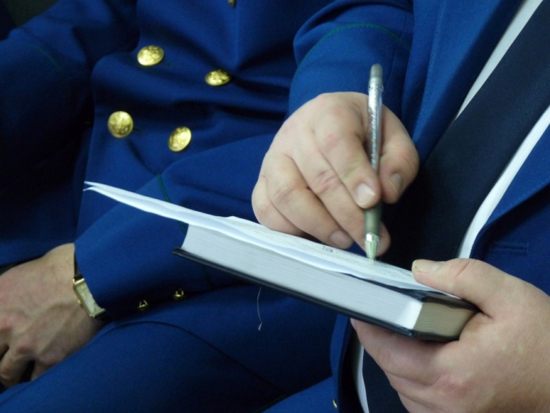 Прокуратура Усинска взяла на контроль проведение доследственной проверки по факту гибели бездомных животных