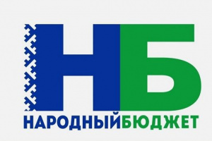 Народный бюджет